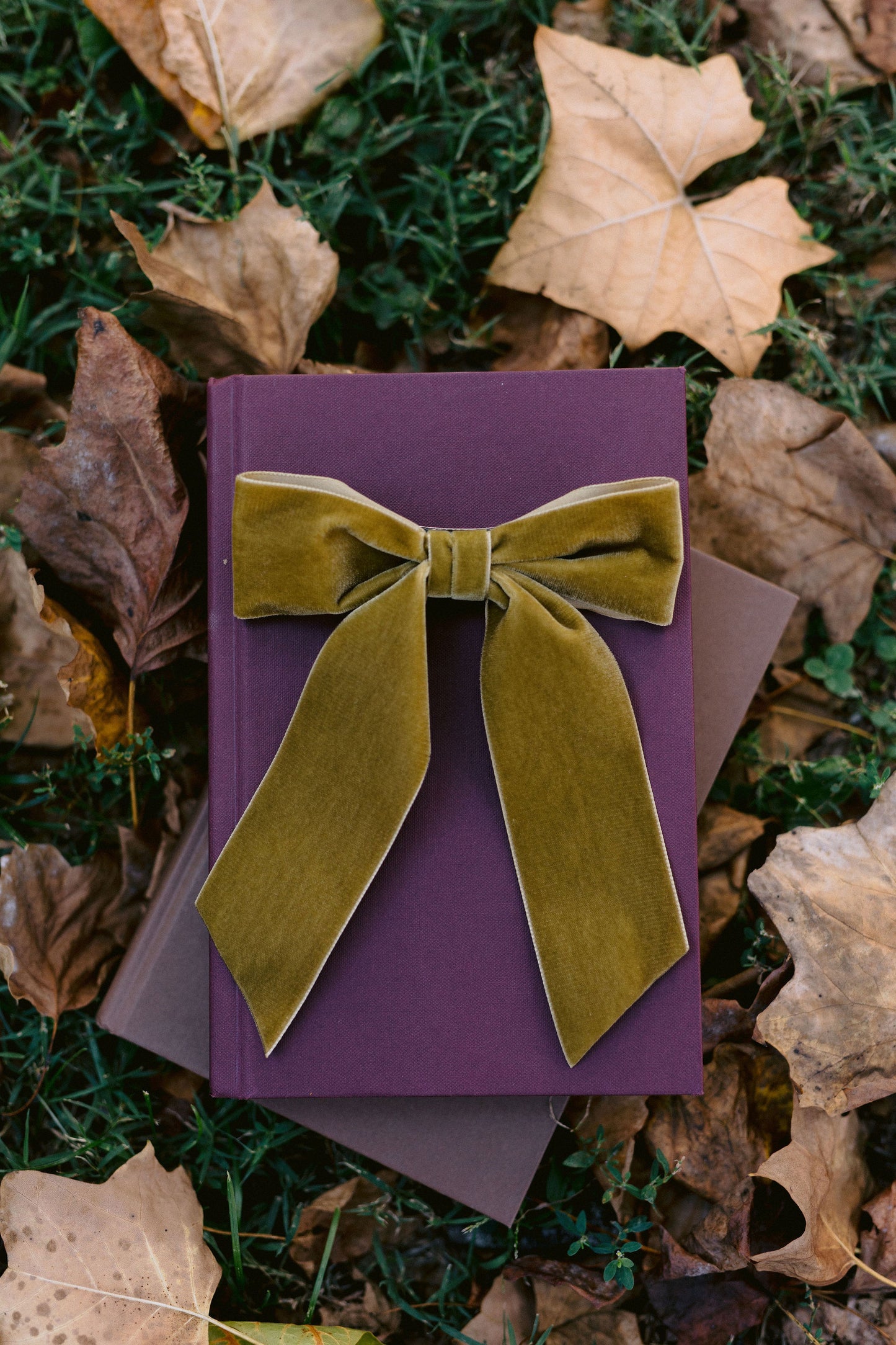Bailee Velvet Bow
