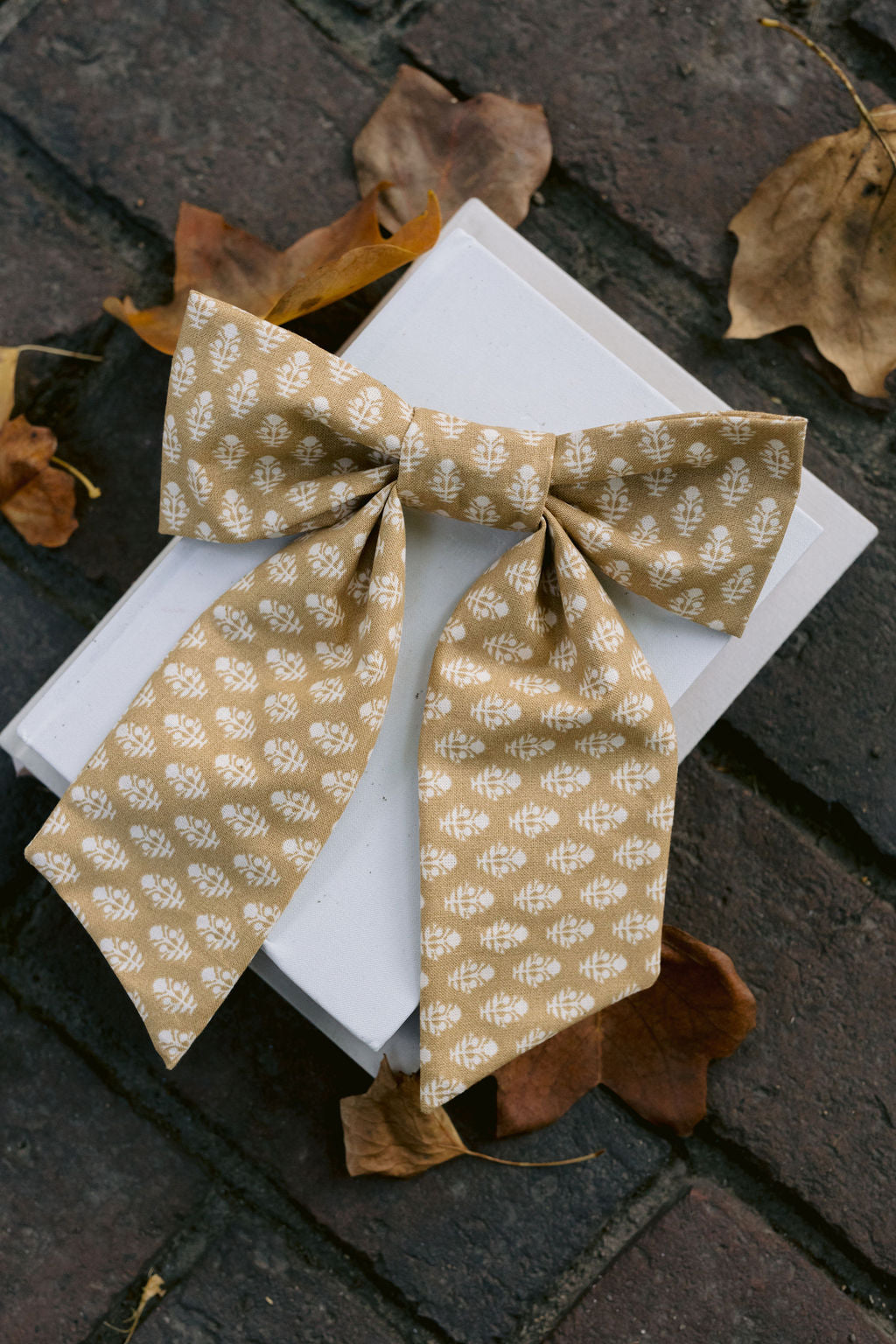 Lucy Bow