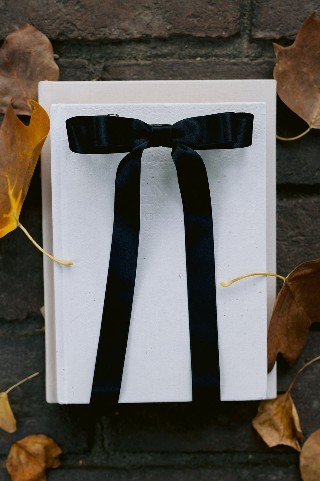 Micro Alice Signature Satin Bow Barrette