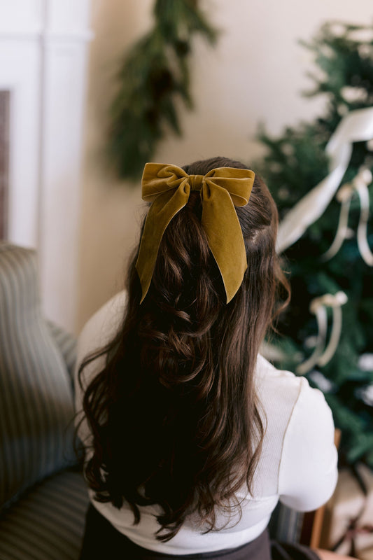 Bailee Velvet Bow Fall 2024