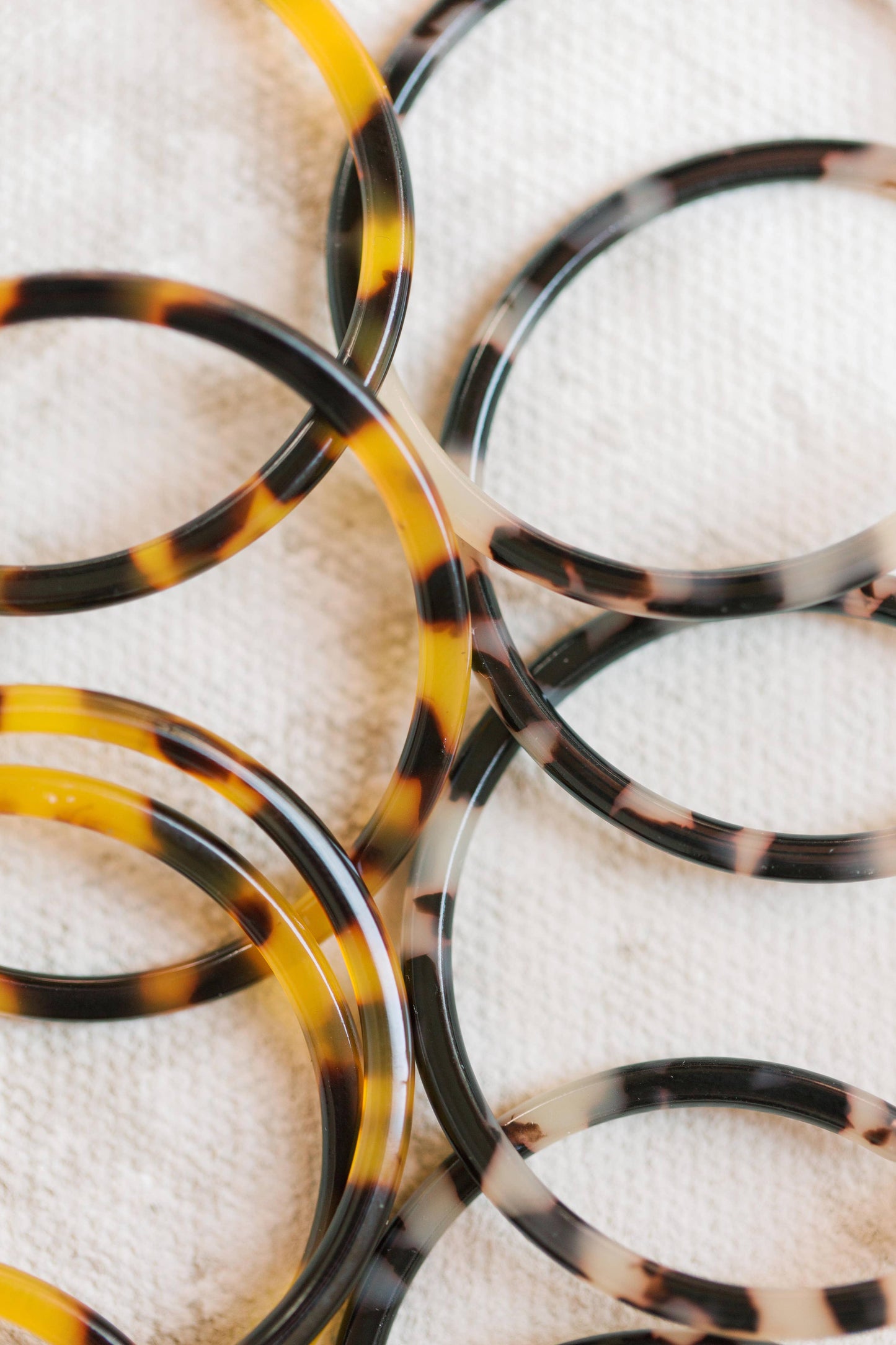 Tortoise Hoops