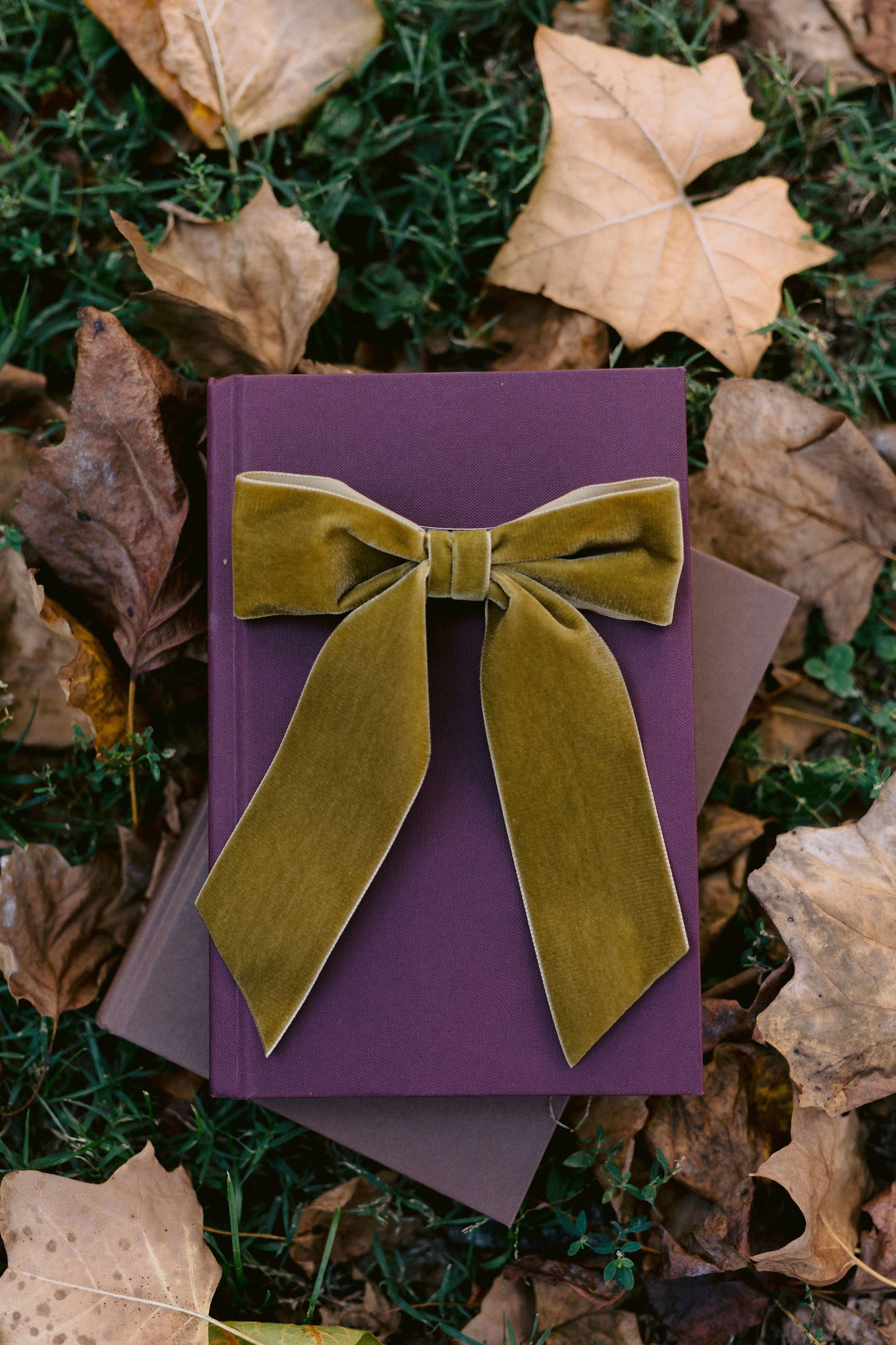 Bailee Velvet Bow Fall 2024