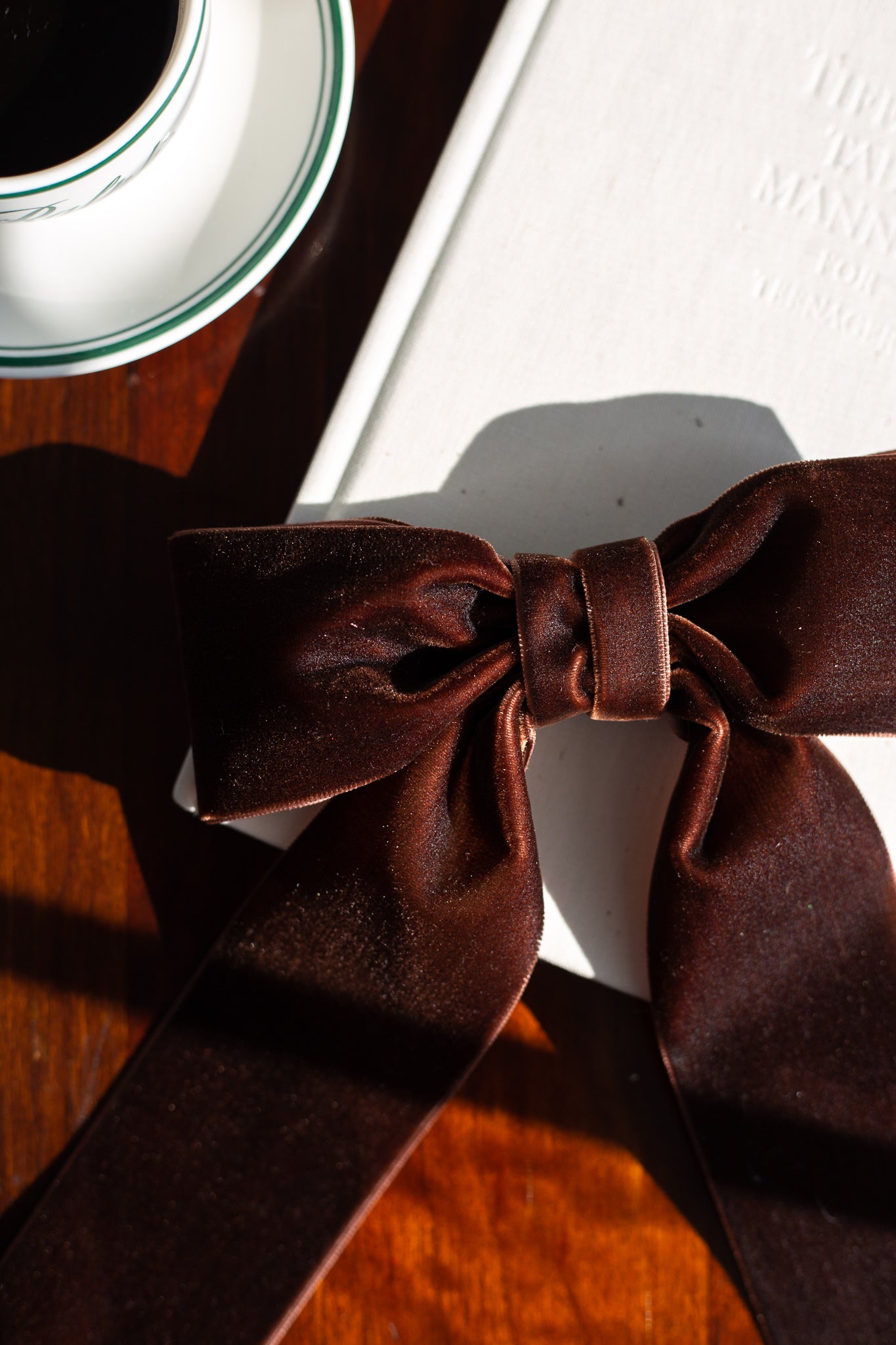 Bailee Velvet Bow