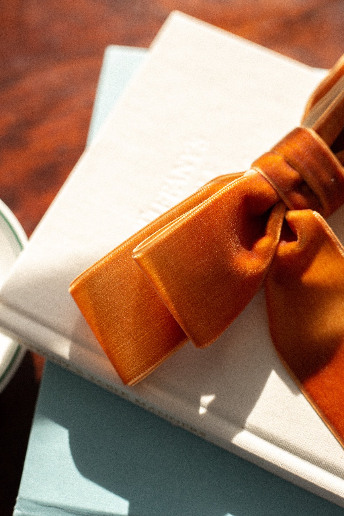 Judy Velvet Bow