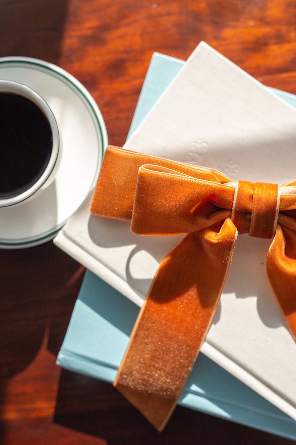 Judy Velvet Bow